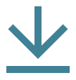 download CSV icon